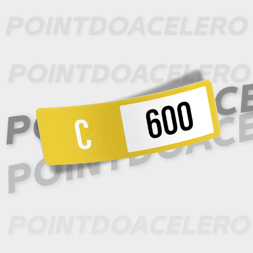 Kit Adesivo Forza Horizon 5 Classe e tração