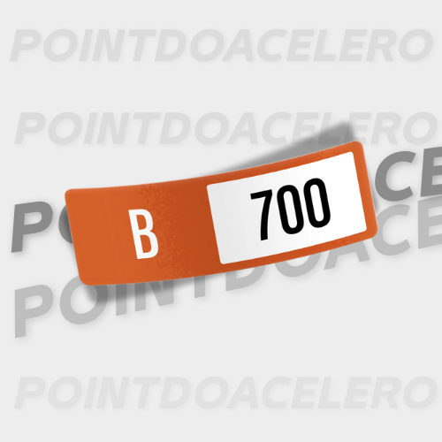 Kit Adesivo Forza Horizon 5 Classe e tração
